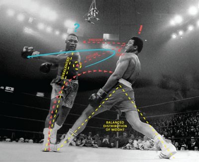 Fight Predictions