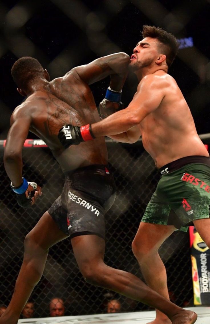 UFC Division Breakdown